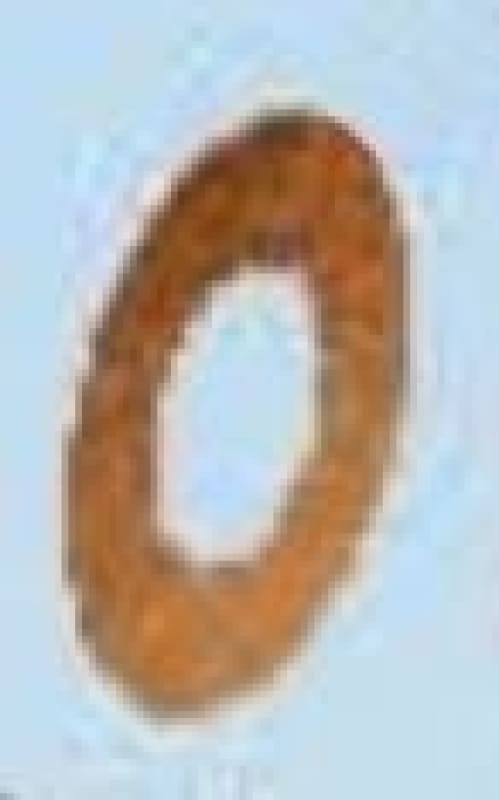 TAYLOR WASHER - QWS - Welding Supply Solutions